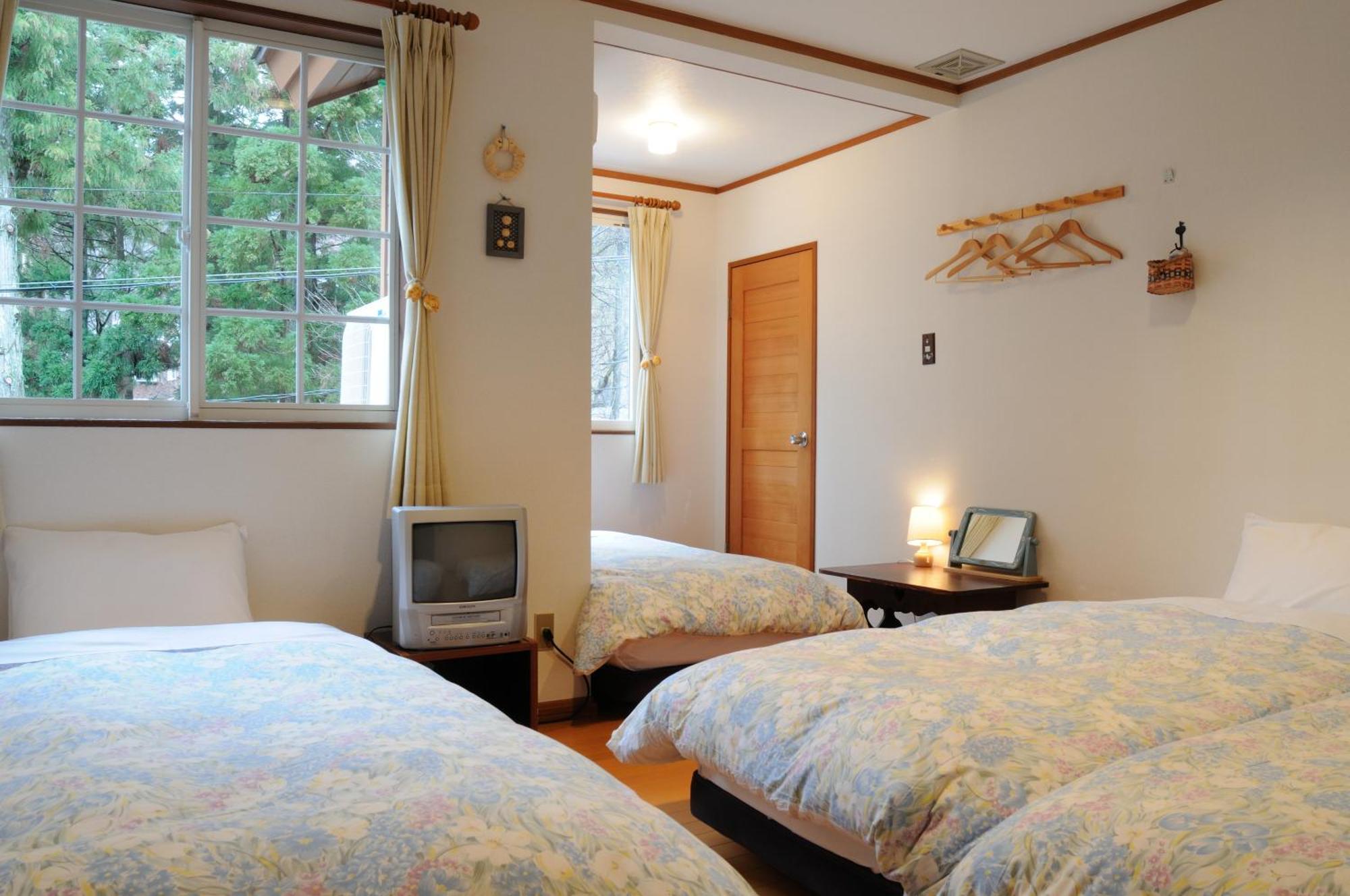 Pension Alps Hakuba Pokoj fotografie